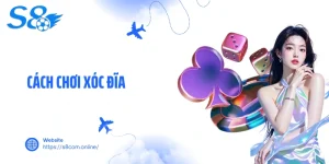 Cách Chơi Xóc Đĩa- Kinh Nghiệm Bất Bại Được Cao Thủ Chia Sẻ